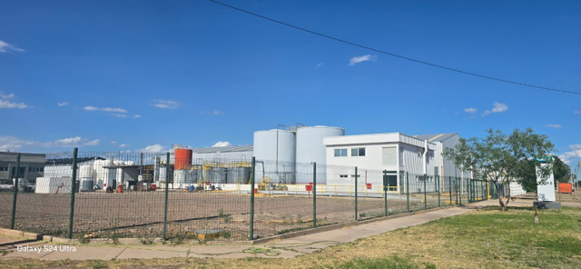 Planta Mendoza